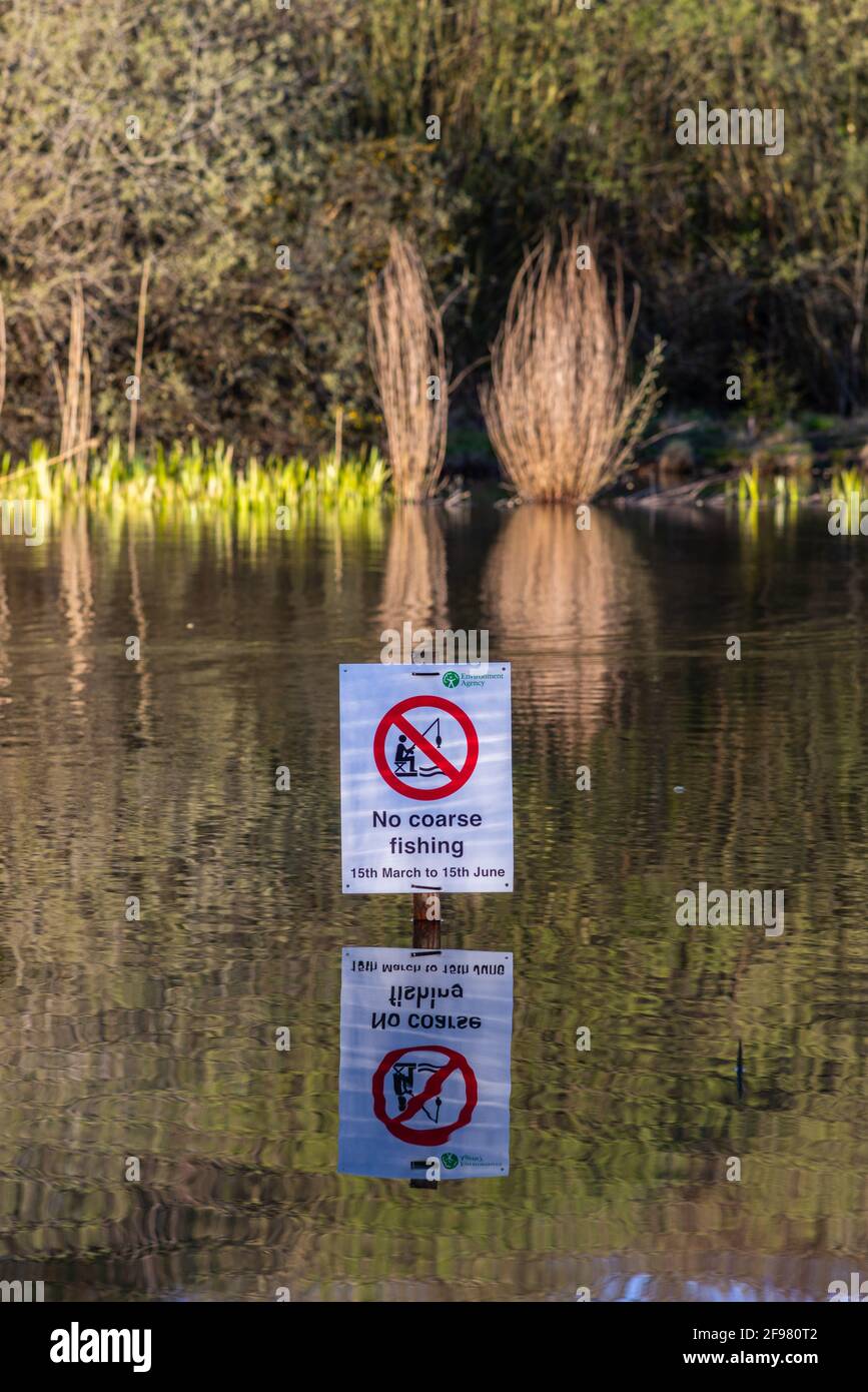 No coarse fishing sign at Ornamental Lake pond in the Common Park, Southampton, Hampshire, England, UK Stock Photo