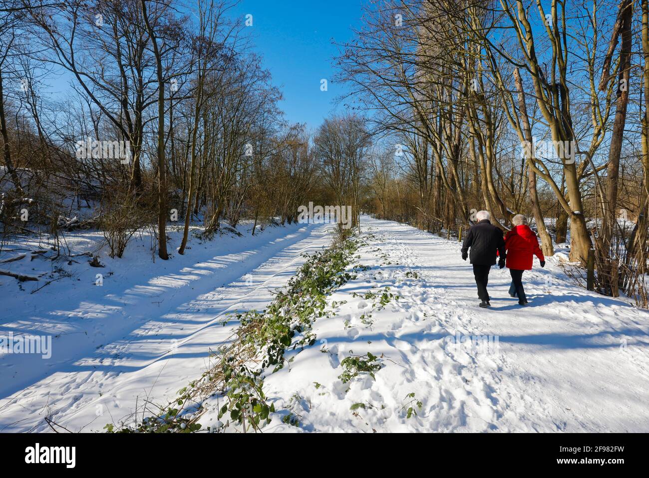 Bochum, North Rhine-Westphalia, Germany - Sunny winter landscape in the Ruhr area, walkers in ice and snow on the renatured Hofsteder Bach, the brook has been transformed into a natural body of water, the Hofsteder Bach flows over the Hüller Bach into the Emscher, belongs to the Emscher and river system thus for the Emscher conversion, there was previously an open, above-ground wastewater canal, mixed water canal with surface water and sewage. Stock Photo