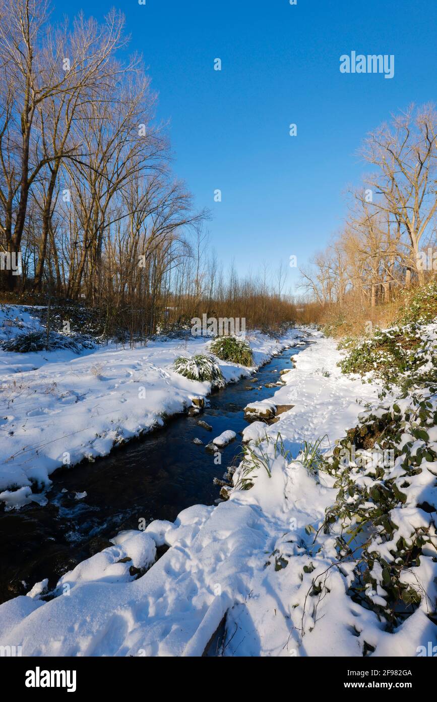 Bochum, North Rhine-Westphalia, Germany - Sunny winter landscape in the Ruhr area, ice and snow at the renatured Goldhammer Bach, the brook has been transformed into a natural body of water, the Goldhammer Bach flows over the Hüller Bach into the Emscher, belongs to the Emscher river system and thus to the Emscher conversion, was previously an open, above-ground wastewater canal, mixed water canal with surface water and wastewater. Stock Photo