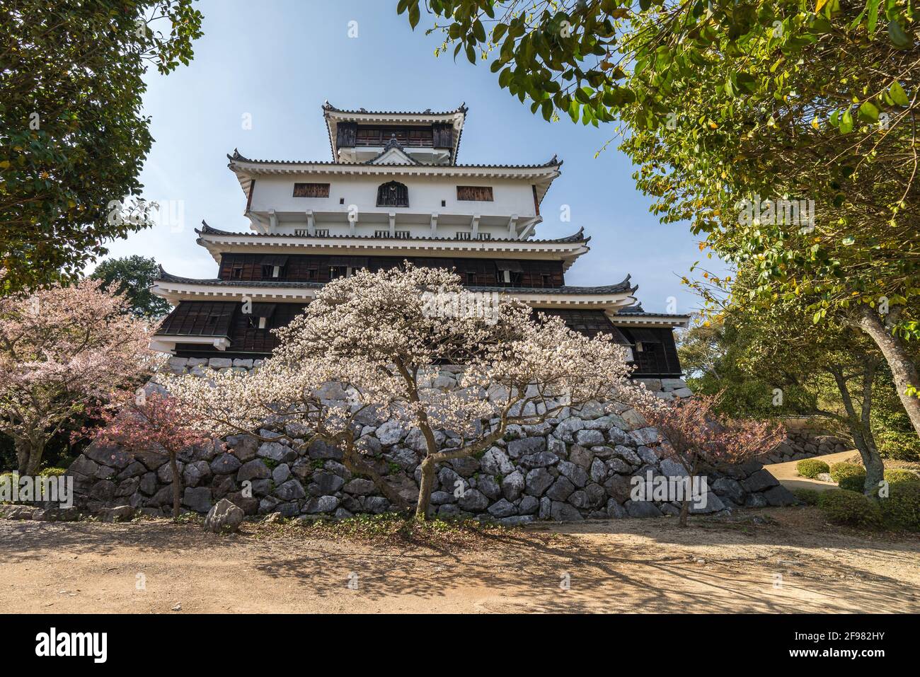 Iwakuni castle surrounded by sakura ttrees at Iwakuni, Japan Stock