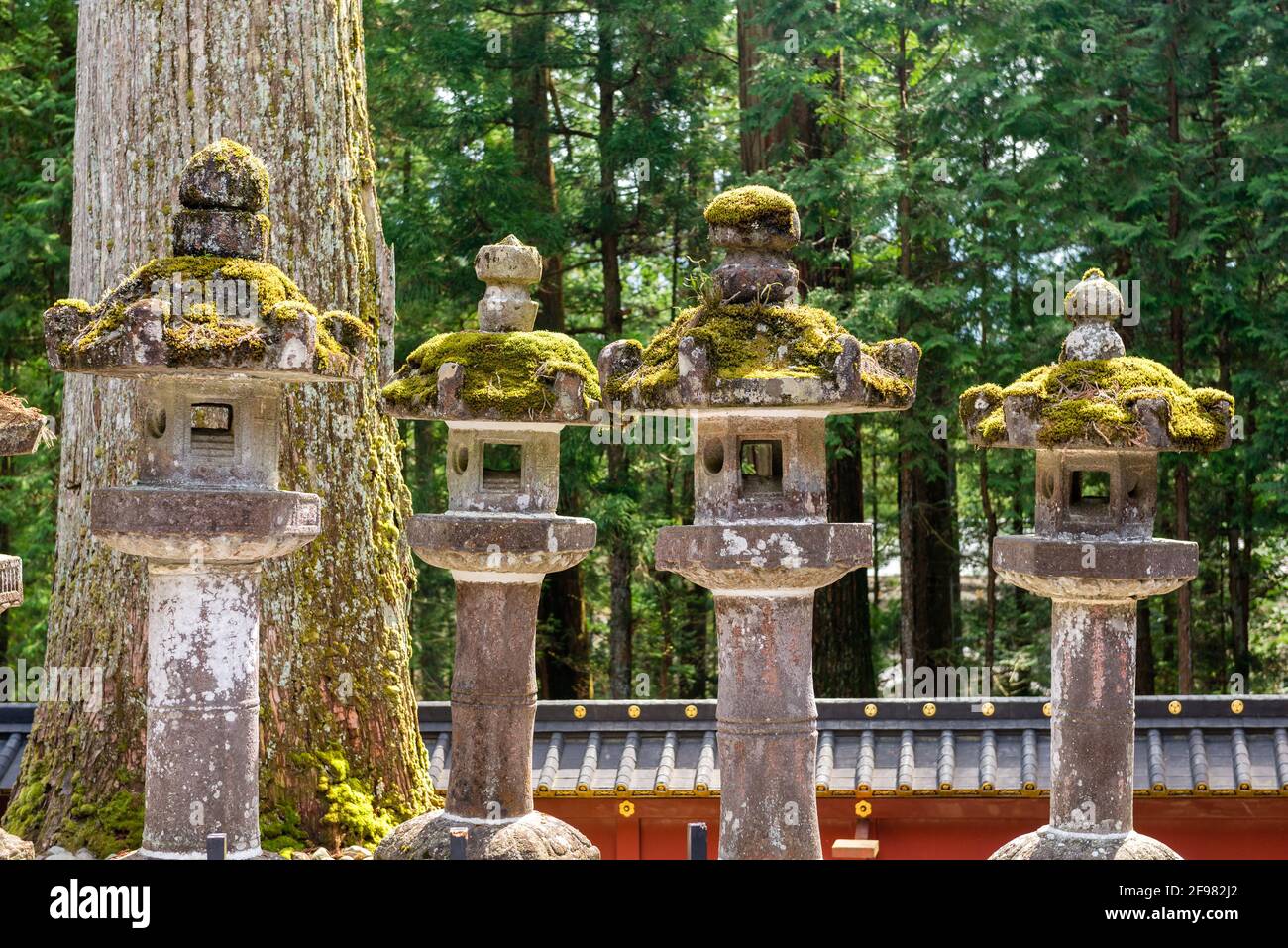 A row of stone lamps covered on green moss at Nikkon shrine Stock Photo