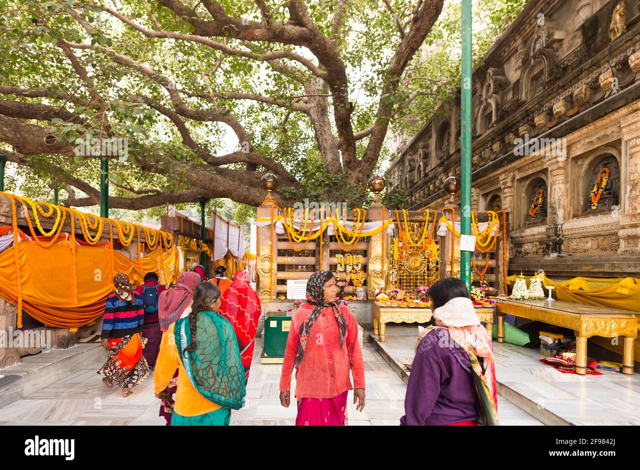 India, Bodhgaya, scenes at the Mahabodhi temple, believers, women, Stock Photo