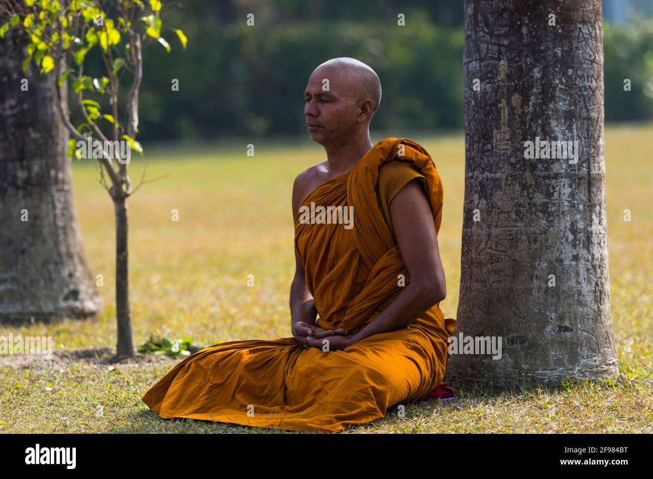 India, Kushinagara, Ramabhar Stupa, meditating monk Stock Photo