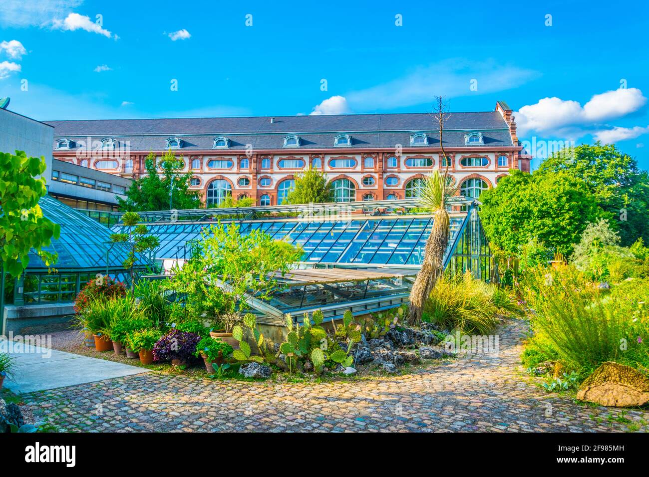 Botanical garden in Basel, Switzerland Stock Photo Alamy Botanical garden in Basel, Switzerland Stock Photo Alamy