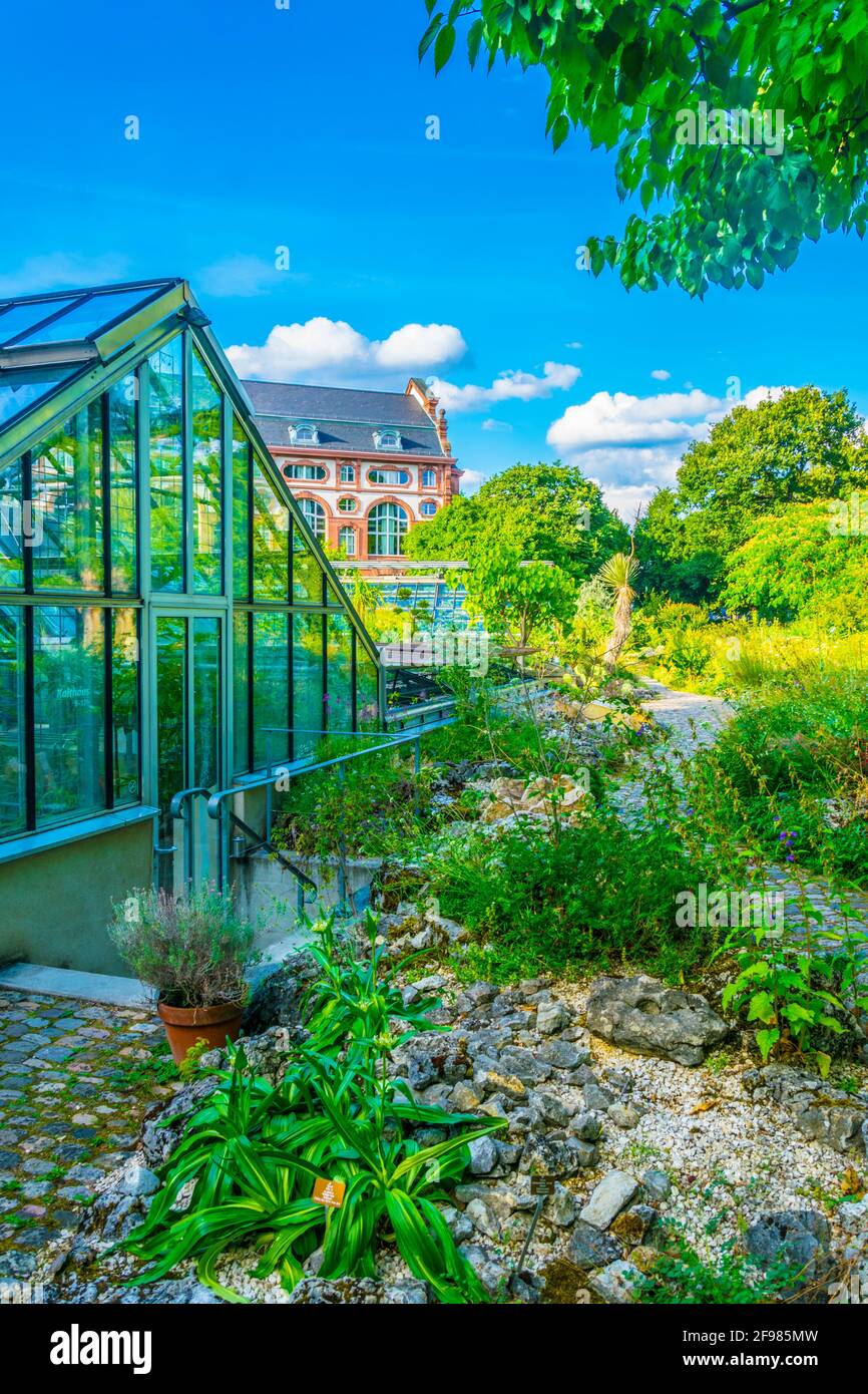 Botanical garden in Basel, Switzerland Stock Photo - Alamy