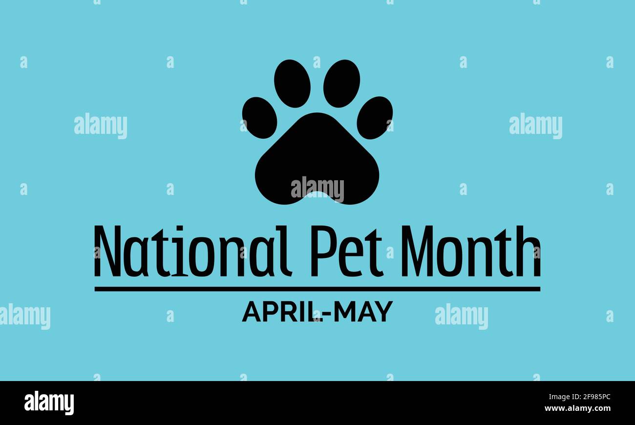 National Pet Month Observed on Annual Calendar of Every May Month