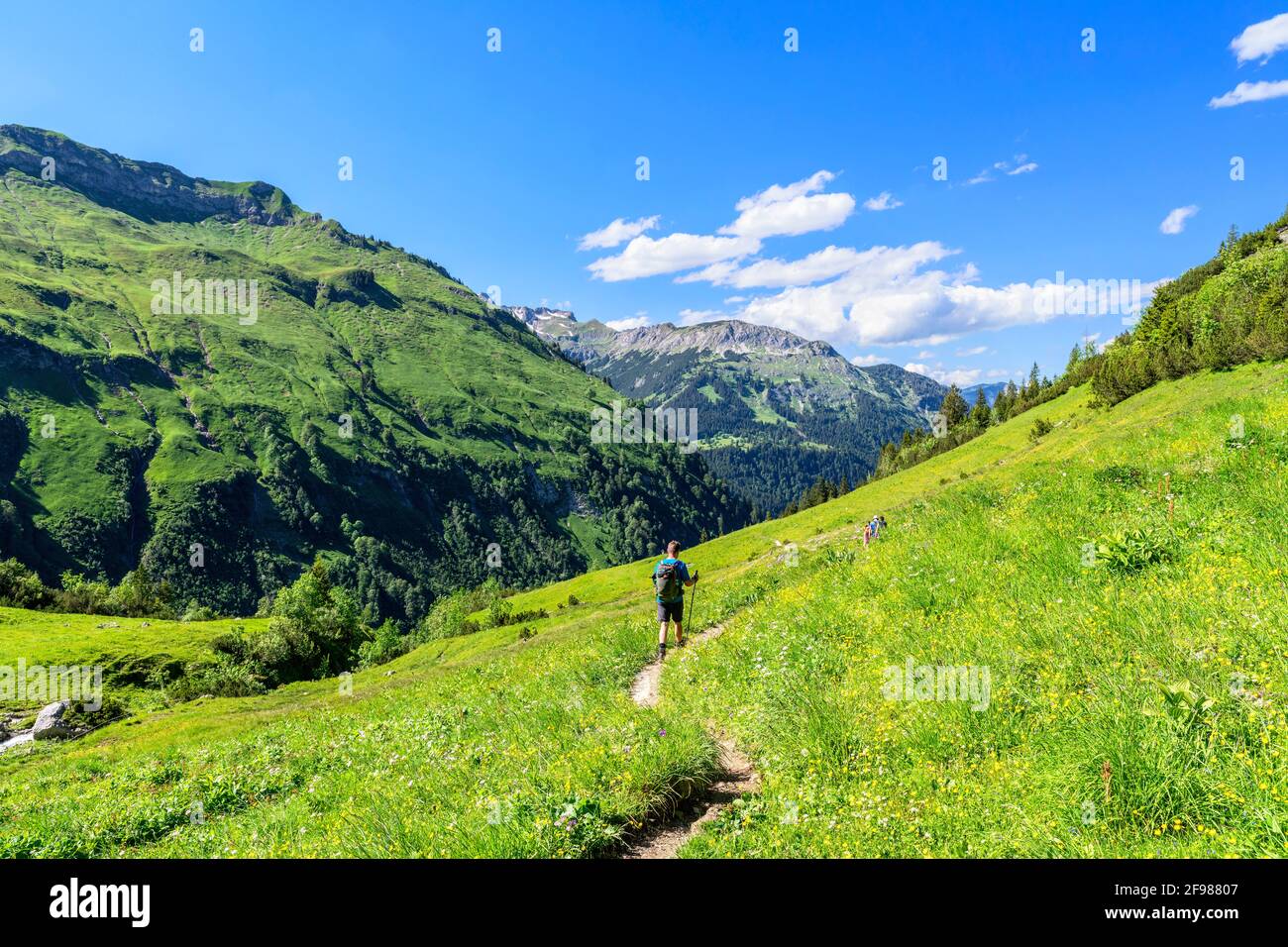 Hikers in alpine mountain landscape with green meadows and forest on a sunny summer day. Allgäu Alps, Bavaria, Germany Stock Photo