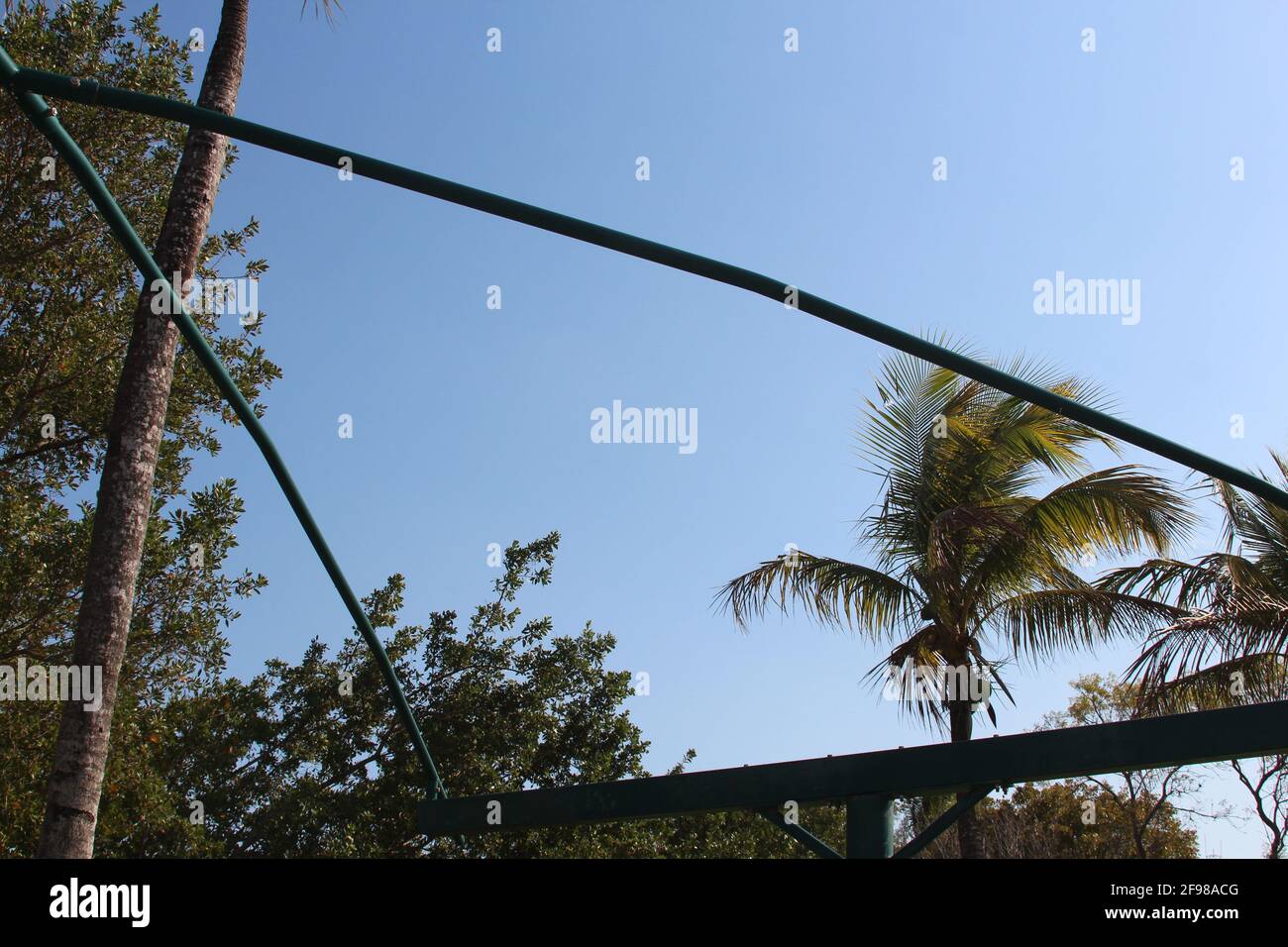 Tall palm trees filter hi-res stock photography and images - Alamy