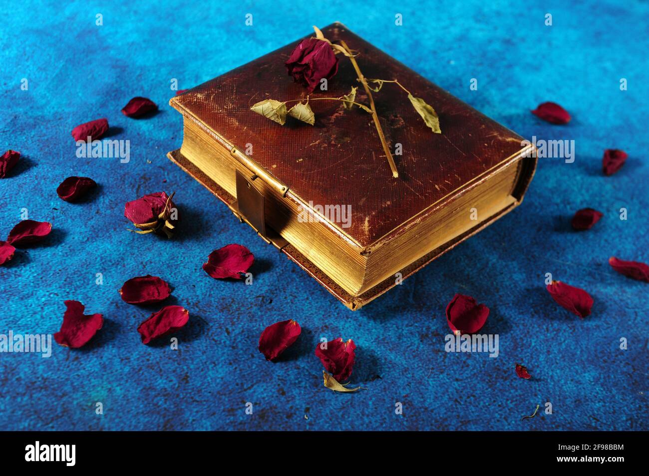 Closeup shot of an old brown book surrounded by faded rose on a blue rough surface Stock Photo