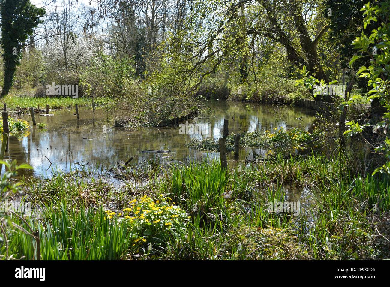 Cherry hinton hall park cambridge hires stock photography and images