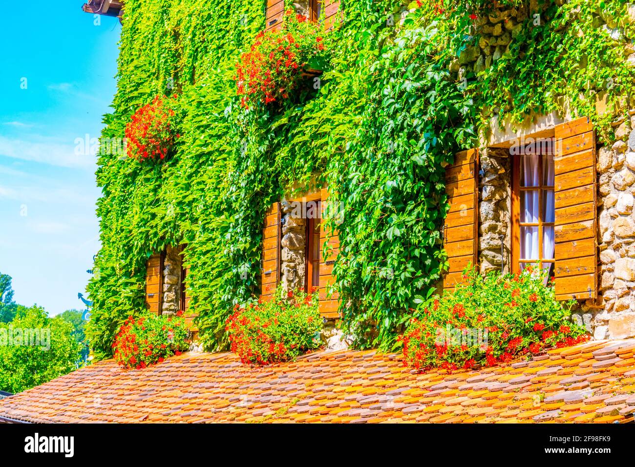 Traditional houses in Yvoire covered with ivy, France Stock Photo Alamy
