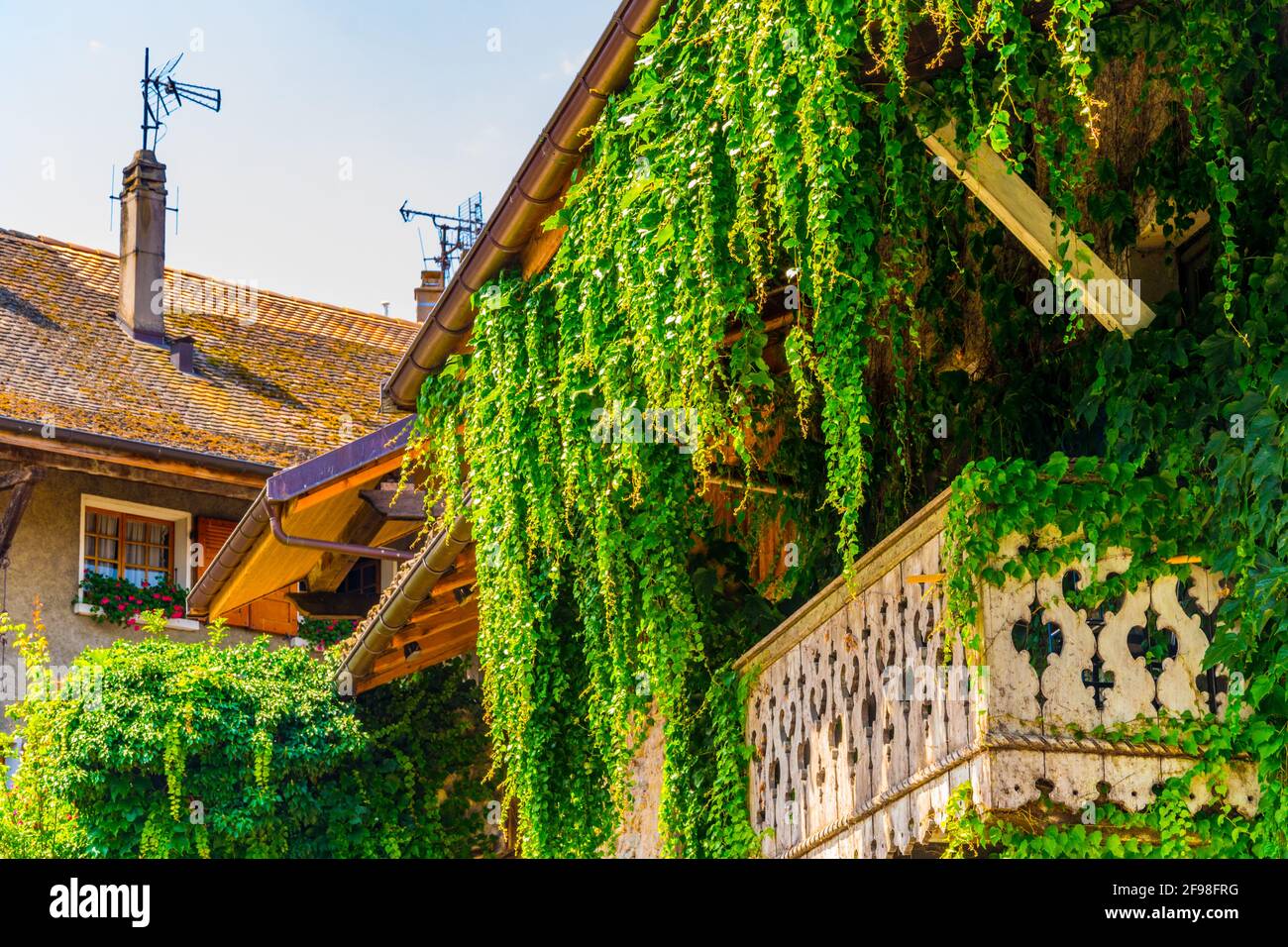 Traditional houses in Yvoire covered with ivy, France Stock Photo Alamy