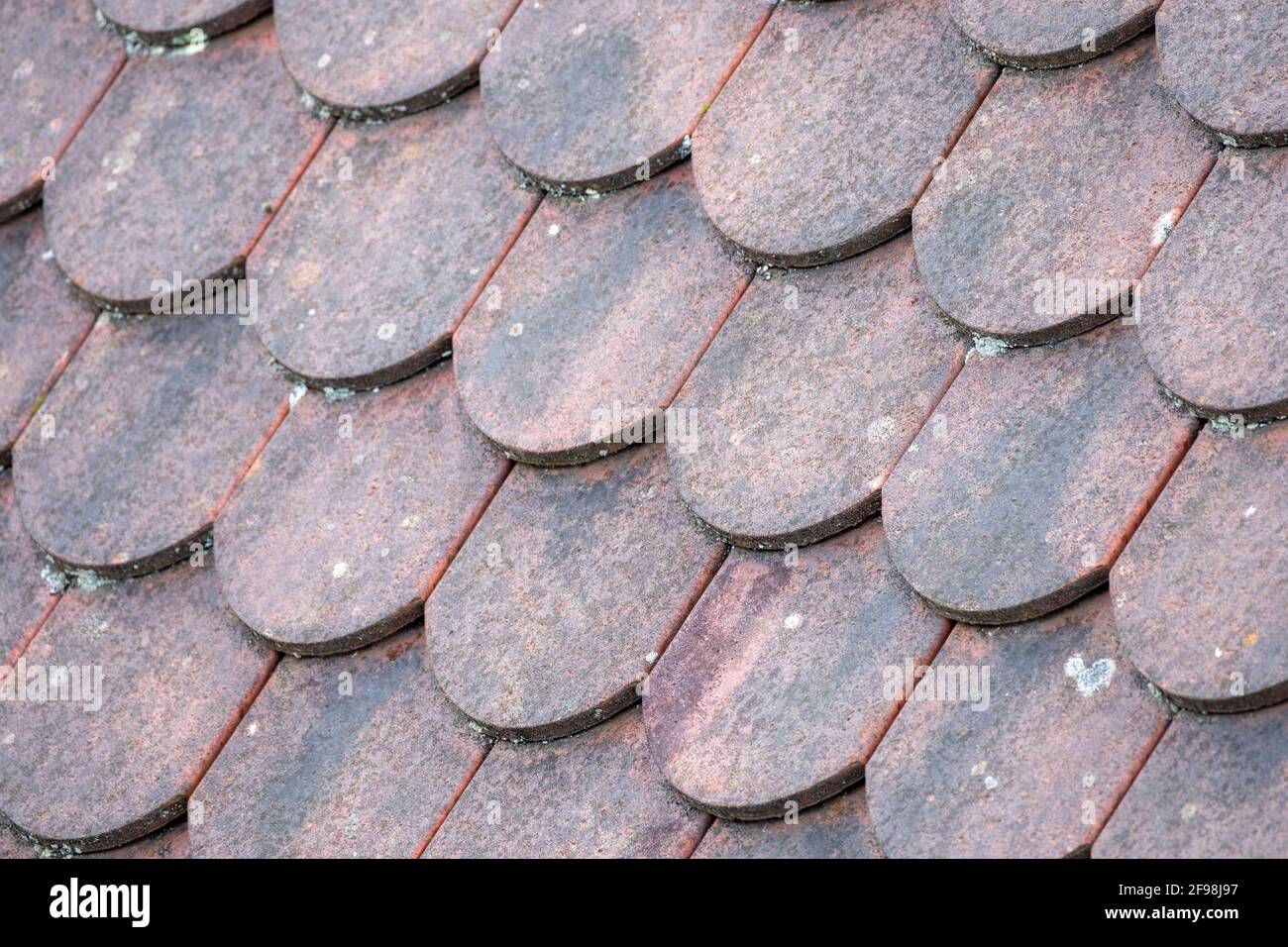 Old tiled roof with plain tiles Stock Photo - Alamy