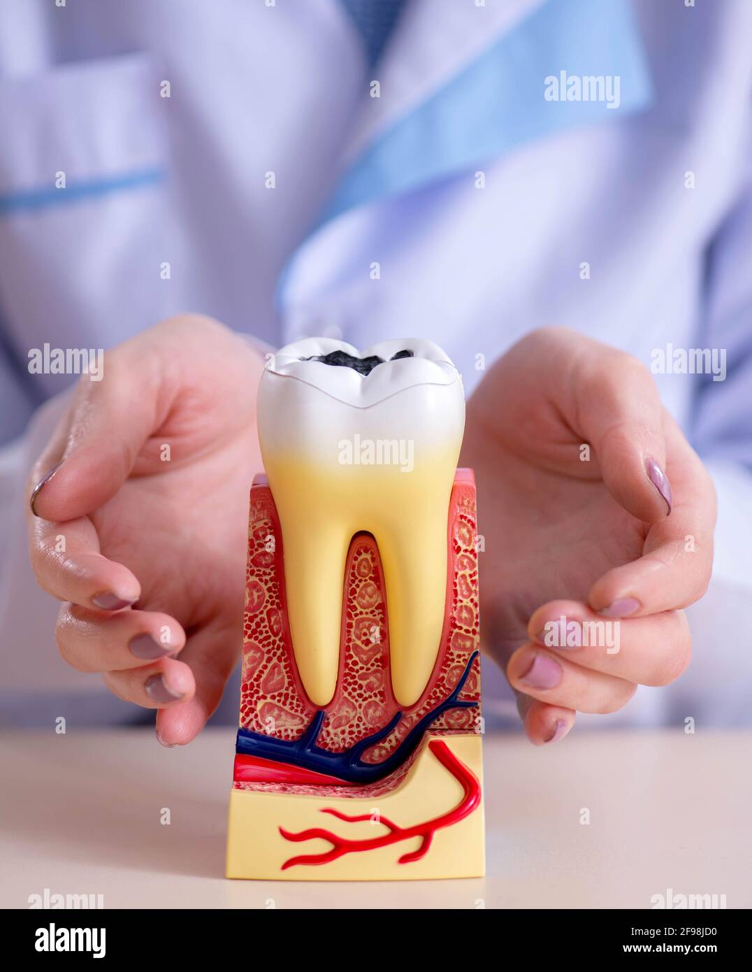 Tooth Working The dentist practicing work on tooth model Stock Photo - Alamy