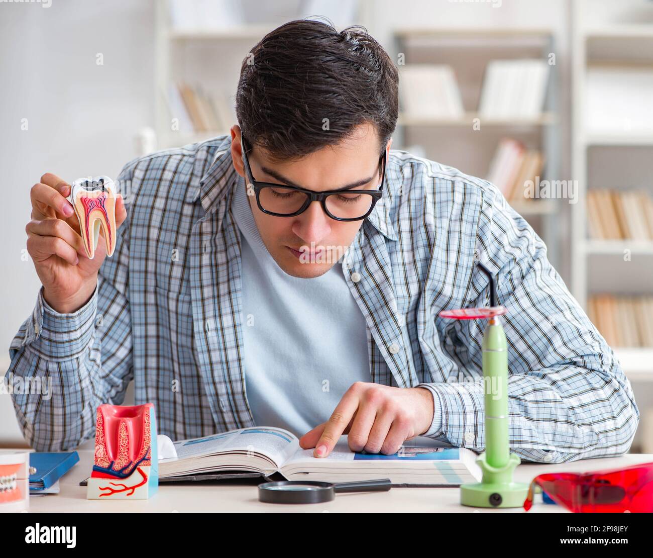 The medical student learning dentistry in classroom Stock Photo - Alamy