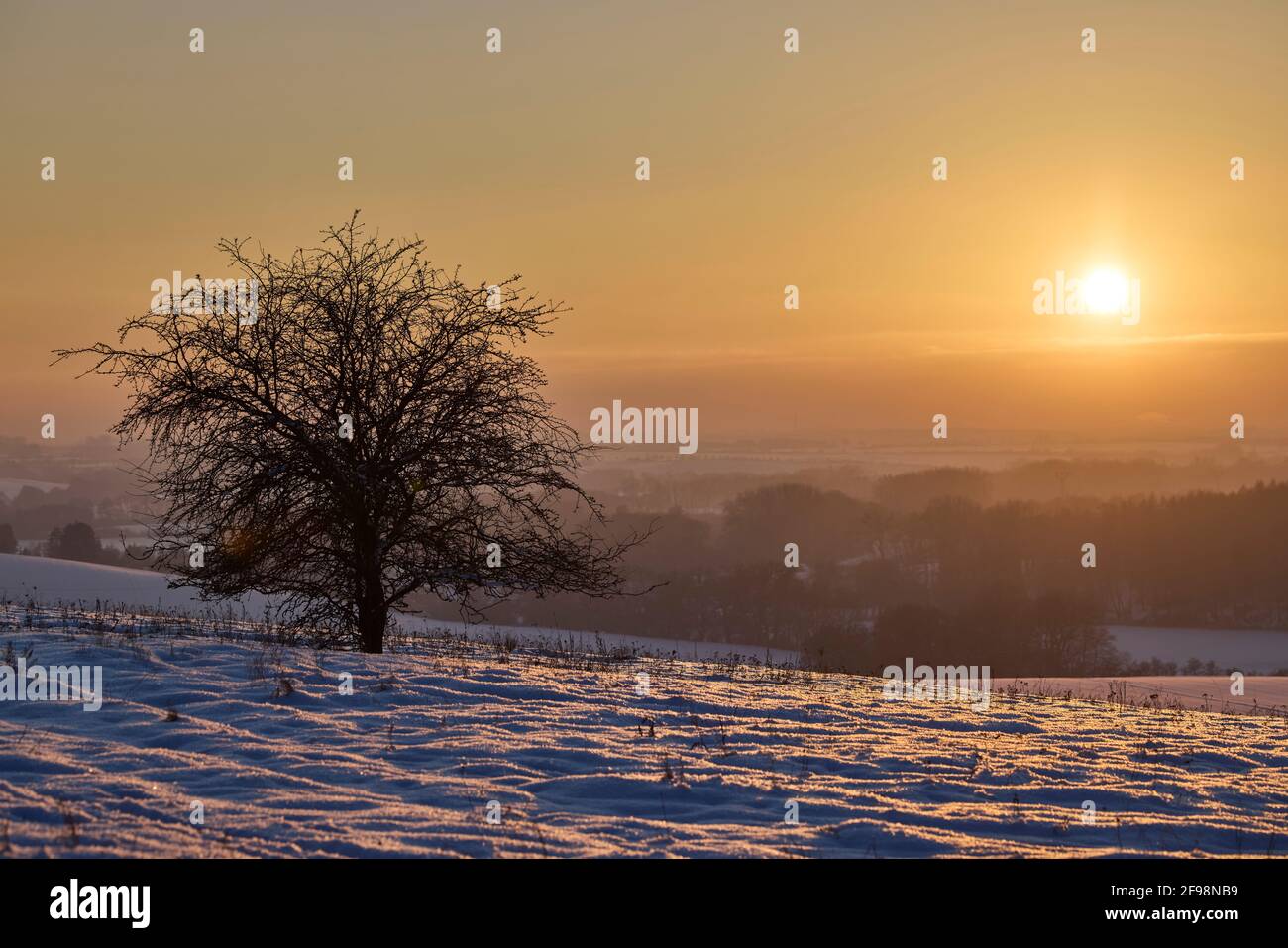 Germany, Mecklenburg-Western Pomerania, Homberg, Cambs, Ludwigslust-Parchim, winter, evening mood Stock Photo