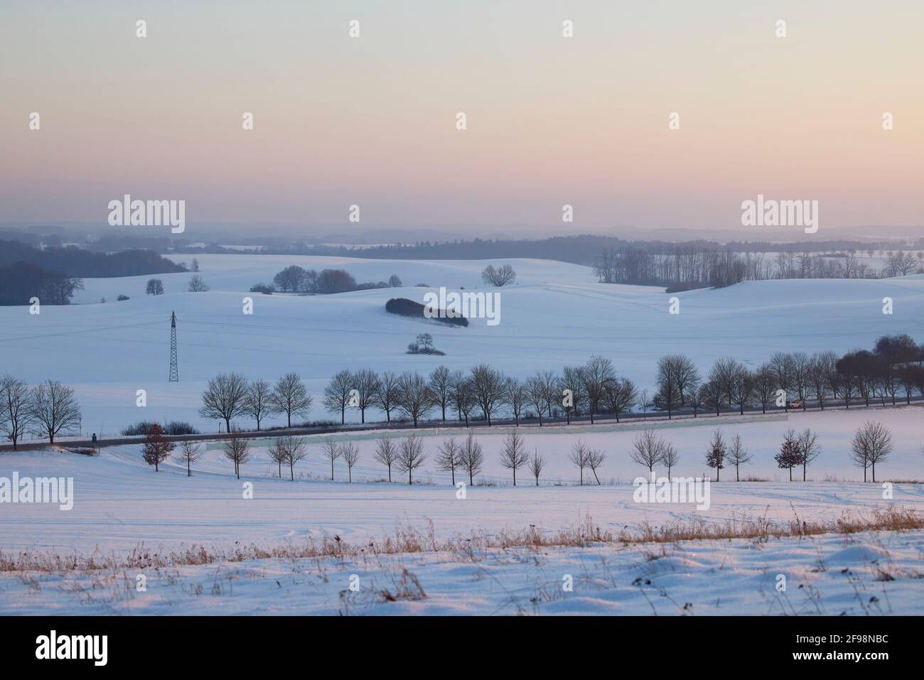 Germany, Mecklenburg-Western Pomerania, Homberg, Cambs, Ludwigslust-Parchim, winter, evening mood, landscape Stock Photo