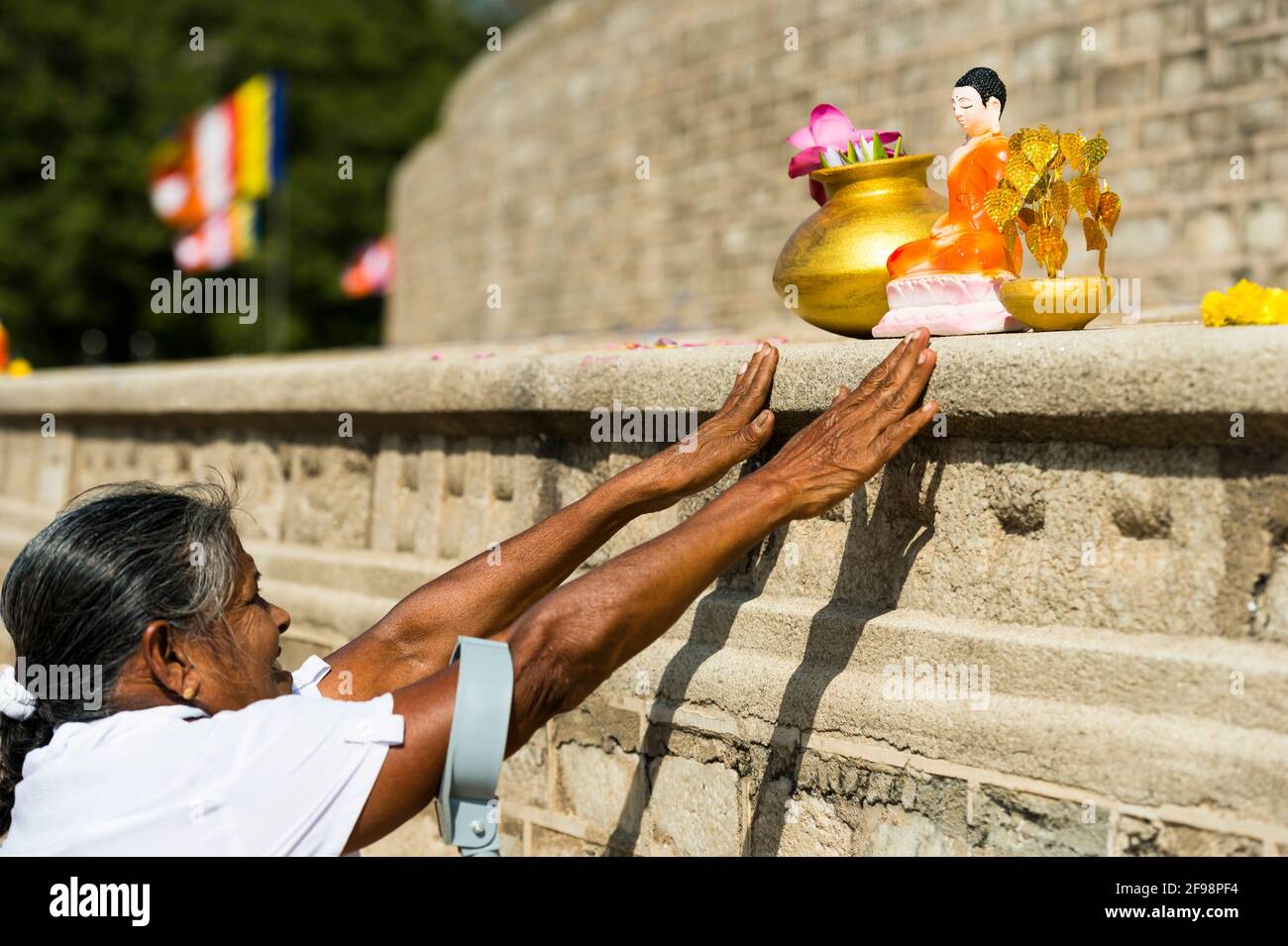Sri Lanka, Anuradhapura, Ruwanweli Seya Dagoba, senior citizen, offerings, Stock Photo