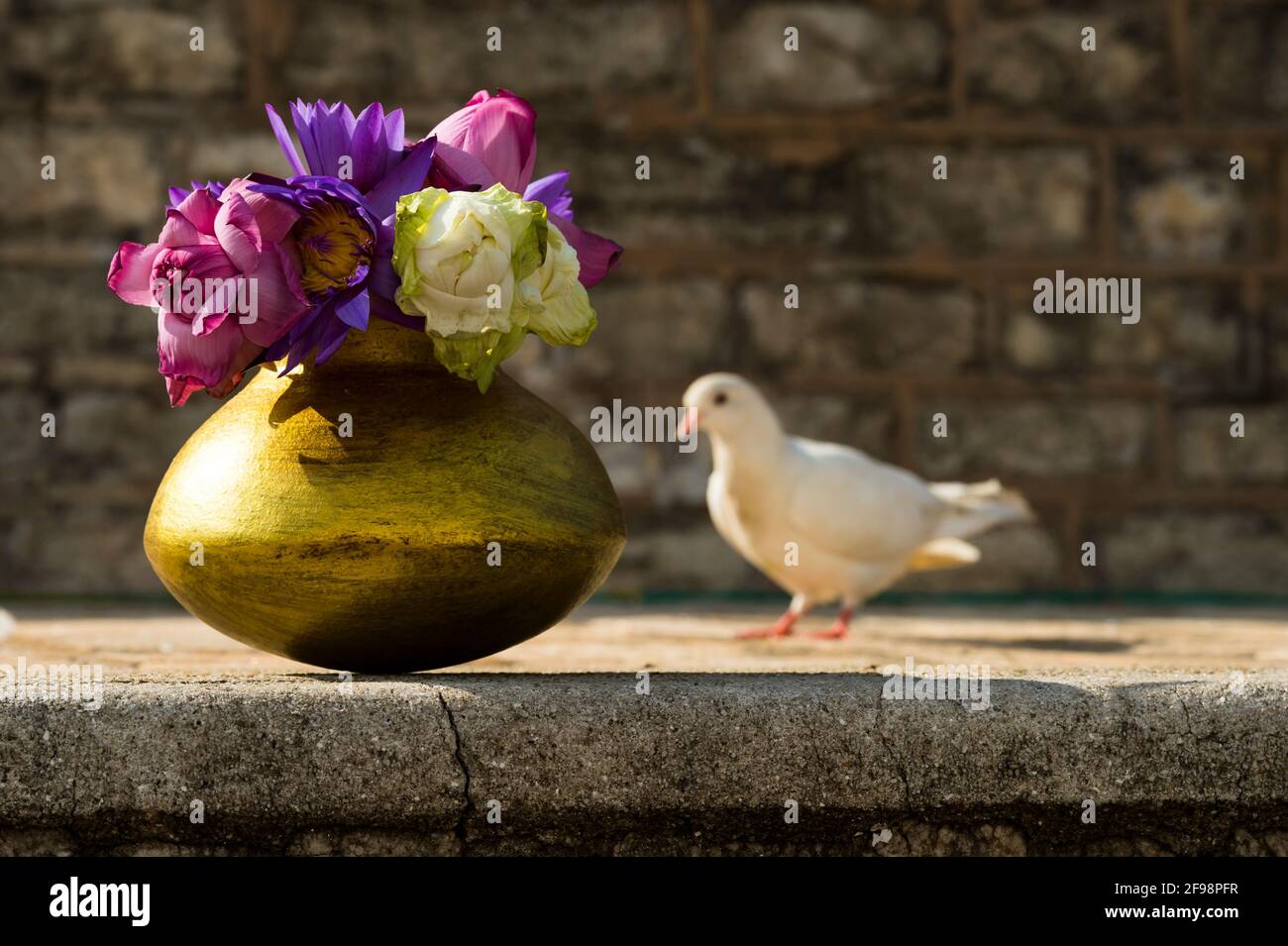 Sri Lanka, Anuradhapura, Ruwanweli Seya Dagoba, pigeon, vase, flowers Stock Photo Alamy