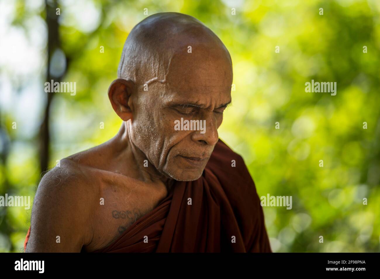 Sri Lanka, Melsiripura, forest monastery Humbulugala Arannya, monk ...