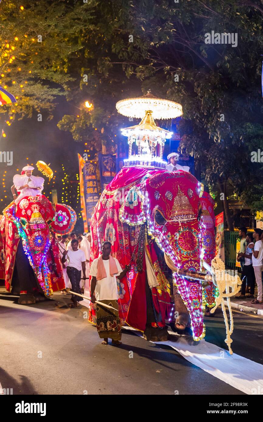 Sri Lanka, Colombo, Gangaramaya temple, the Nawam Maha Perahera festival, elephant, costume, splendidly, Stock Photo