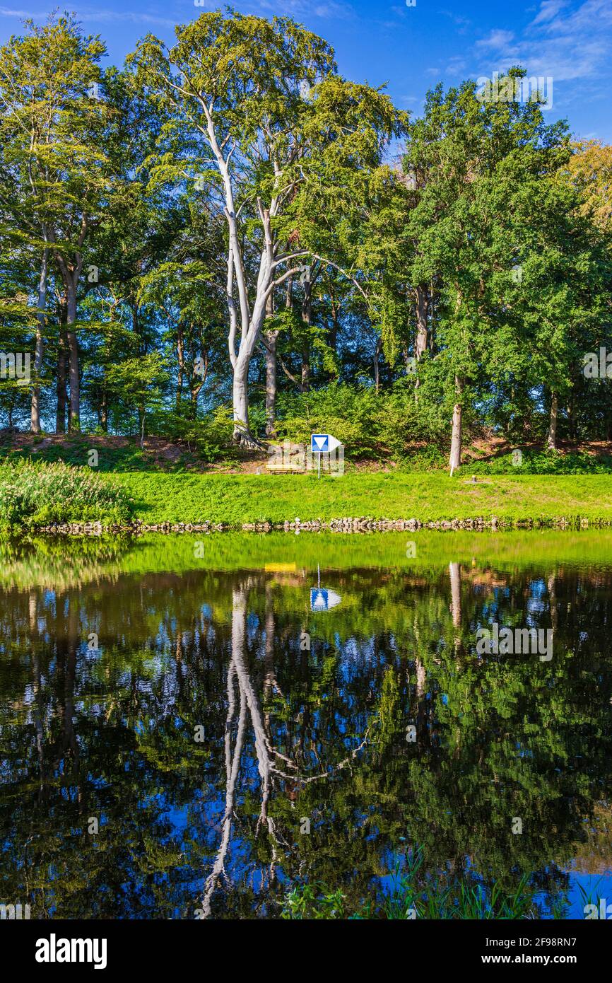 Trees, reflection on water surface Stock Photo - Alamy