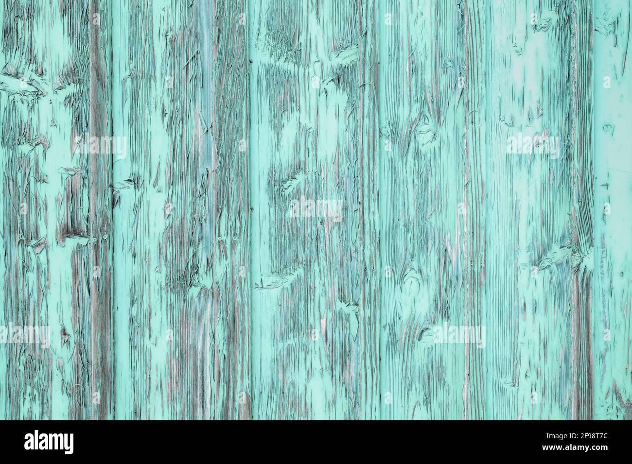 Weathered boards of an old gate with peeling paint. Original color pink  replaced with pastel mint. For example as a background for text. [M] Stock  Photo - Alamy