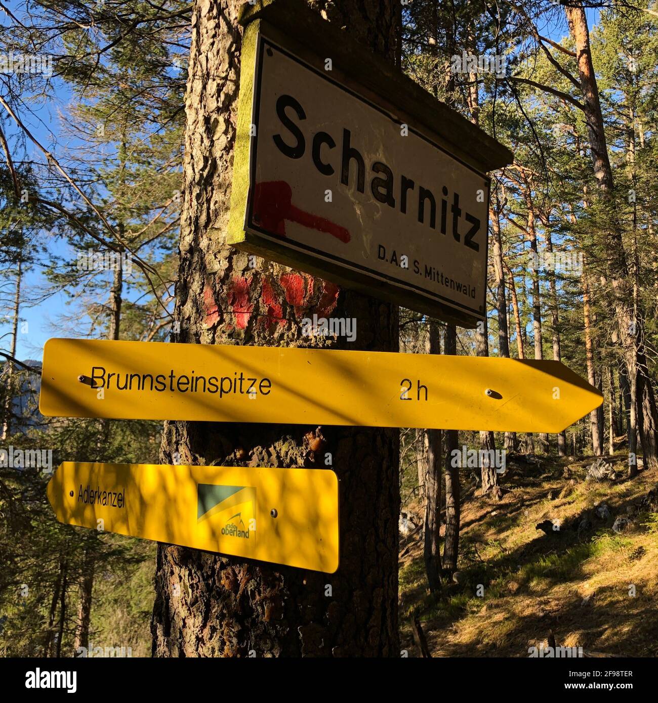 Signpost in the forest near Scharnitz, nature, Karwendel Mountains, Adlerkanzel, Brunnsteinpitze, Scharnitz, Tyrol, Austria Stock Photo