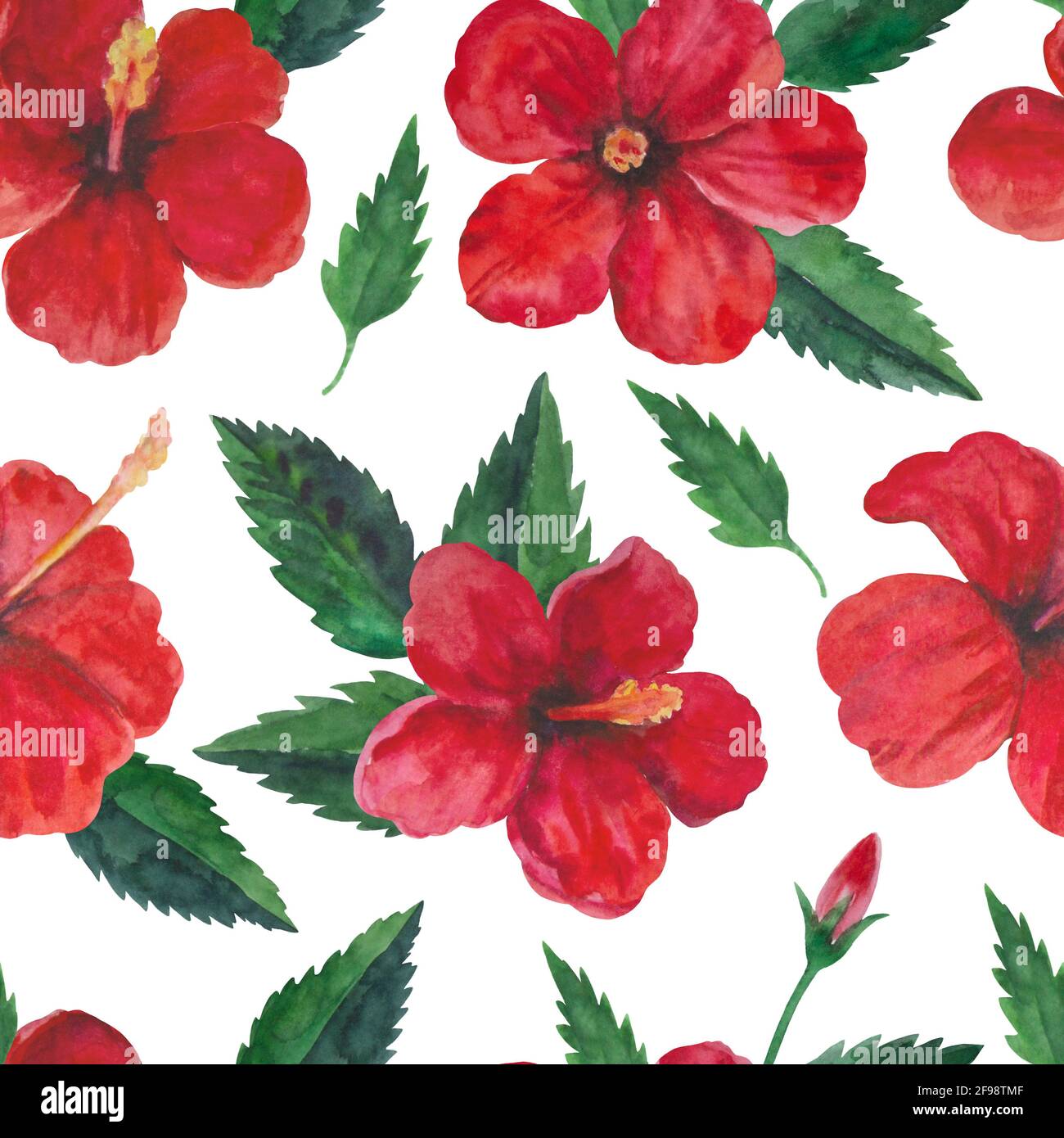 Tropical seamless pattern with red hibiscus flowers and leaves ...