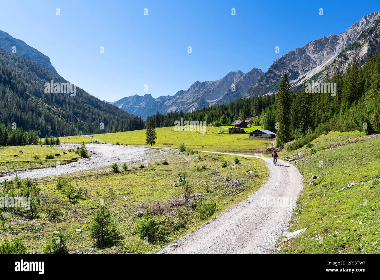 Cyclists on the move in the Karwendeltal near the Angeralm on a sunny summer day. Karwendel, Tyrol, Austria Stock Photo