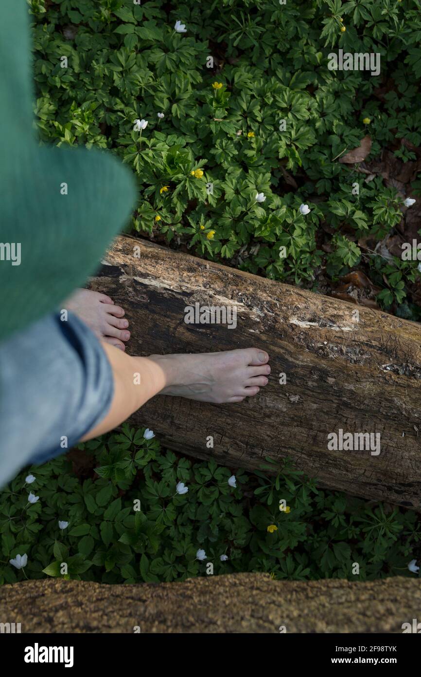 Top view of feet and a carpet of blooming anemones in the forest Stock Photo