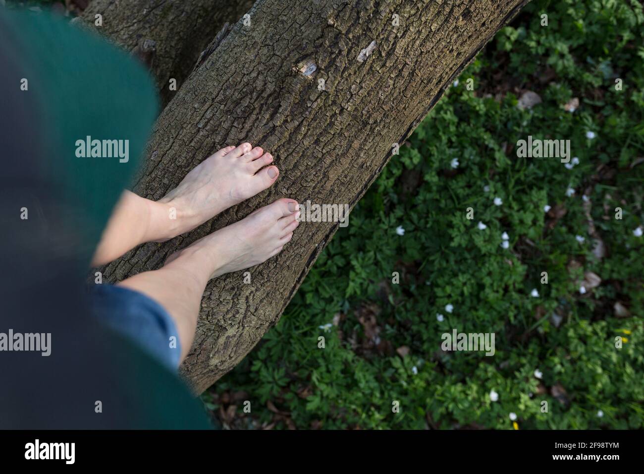 Top view of feet and a carpet of blooming anemones in the forest Stock Photo
