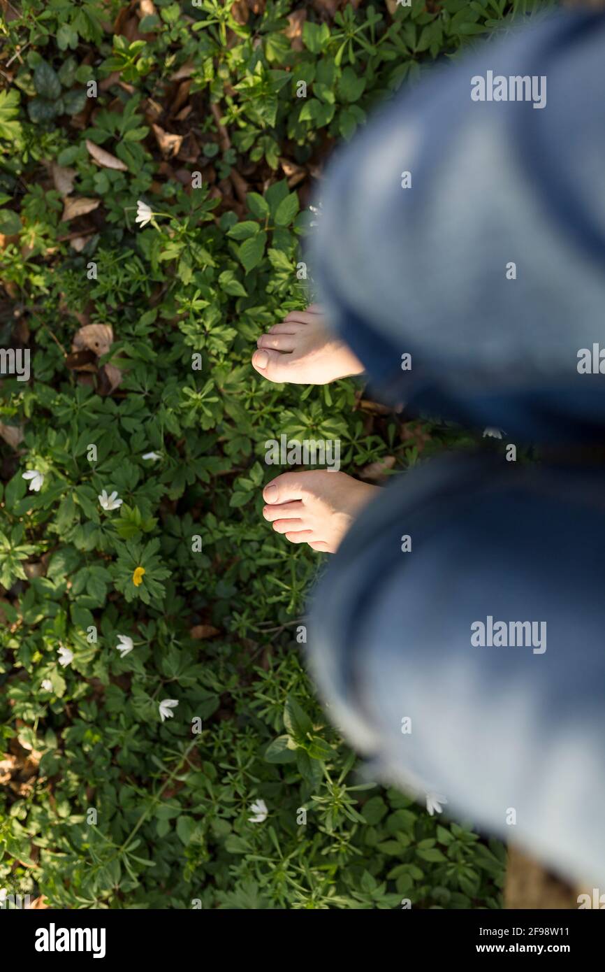 Top view of feet and a carpet of blooming anemones in the forest Stock Photo