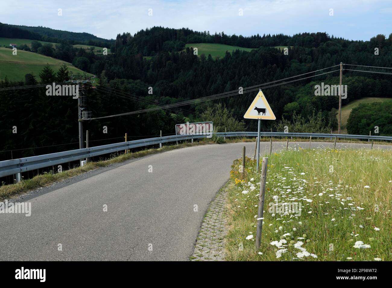 Journey through the Black Forest Stock Photo