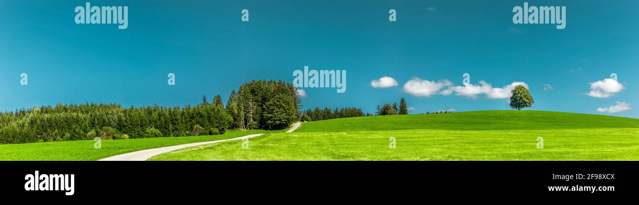 Path through hilly green landscape Stock Photo