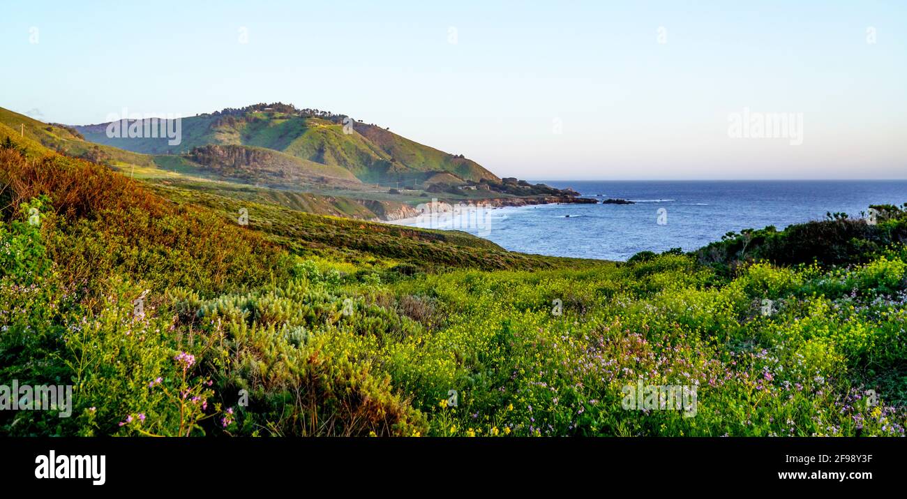 Pacific Ocean at Big Sur California Stock Photo - Alamy