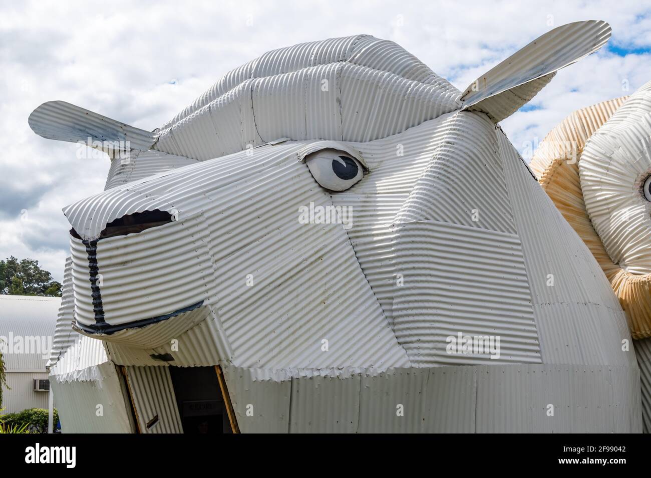 Tirau sheep hires stock photography and images Alamy