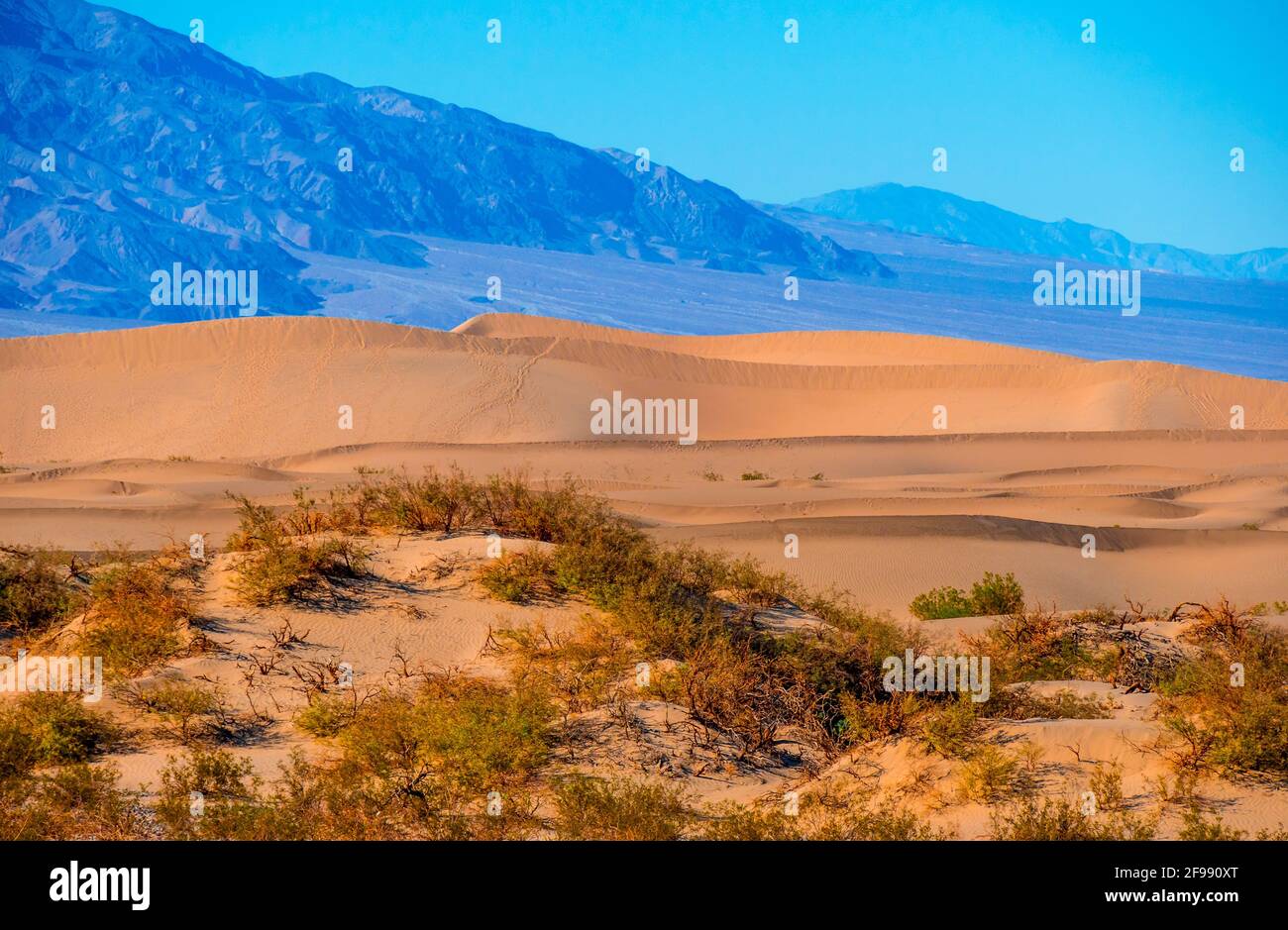 Beautiful Mesquite Sand Dunes at Death Valley California - USA 2017 Stock Photo