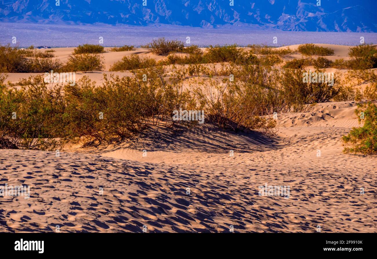 Beautiful landscape of Mesquite Flat Sand Dunes at Death Valley - USA 2017 Stock Photo