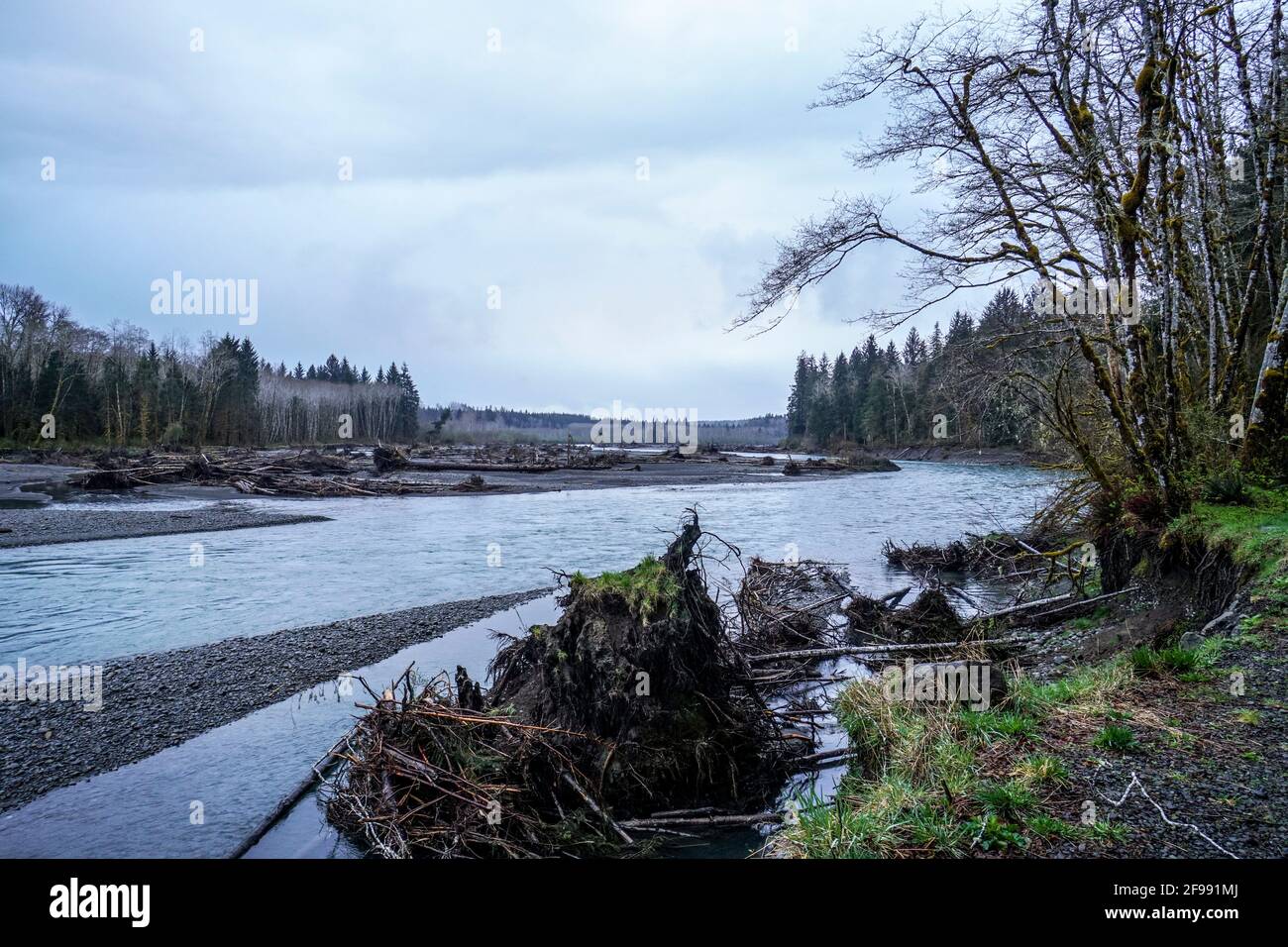 Hoh River in the rain forest of Olympic Peninsula Washington Stock Photo