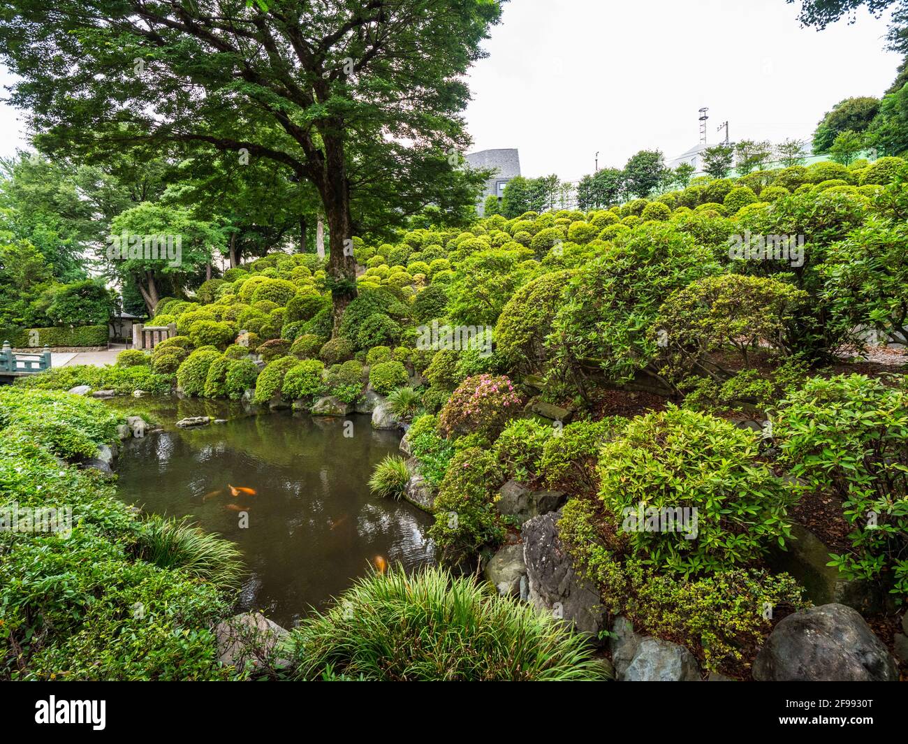 Gardens of the Nezu Shrine in Tokyo Bunkyo Stock Photo