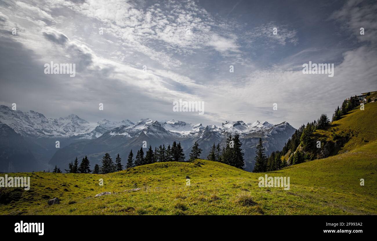 Photography in the swiss alps hi-res stock photography and images - Alamy