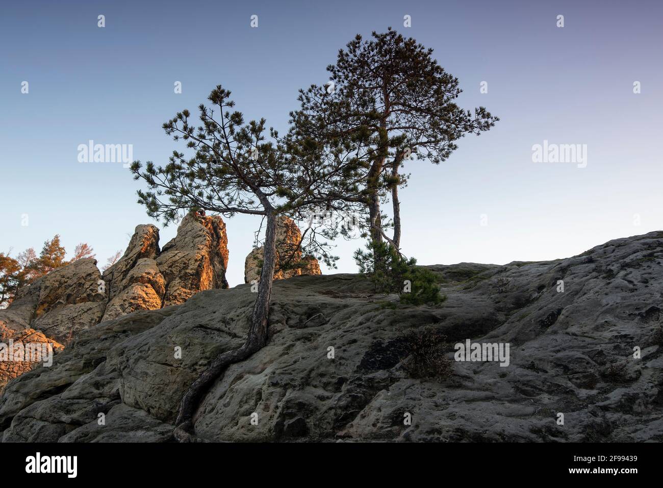 Germany, Saxony-Anhalt, Timmenrode, the first rays of sun of the day hit the Hamburg coat of arms. The sandstone formation belongs to the Teufelsmauer in the Harz Mountains. Stock Photo