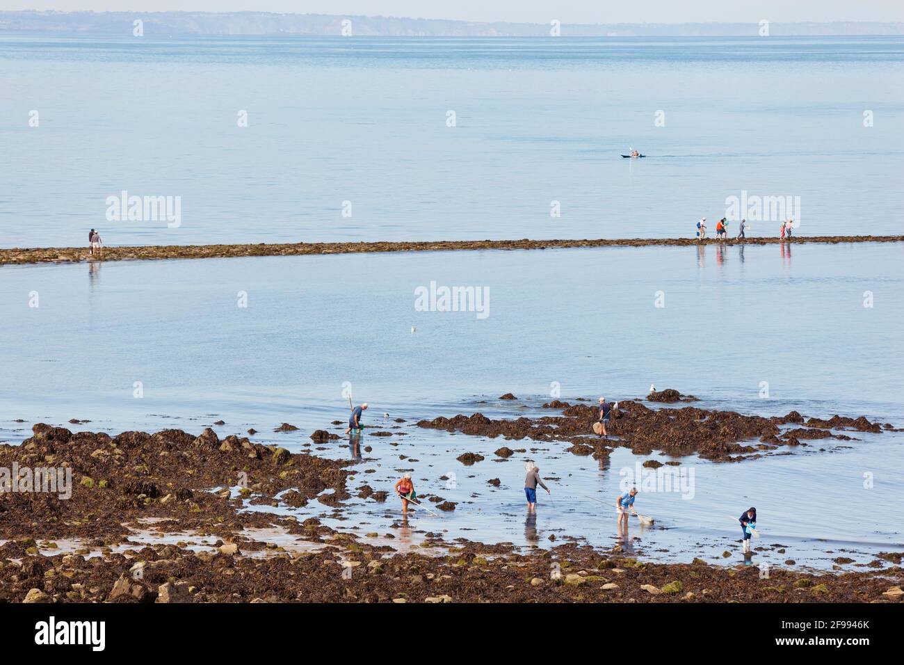 The anglers make a pilgrimage to the tidal island Verdelet in front of the town of Val Andre to go fishing on foot - Peche a pied. Stock Photo