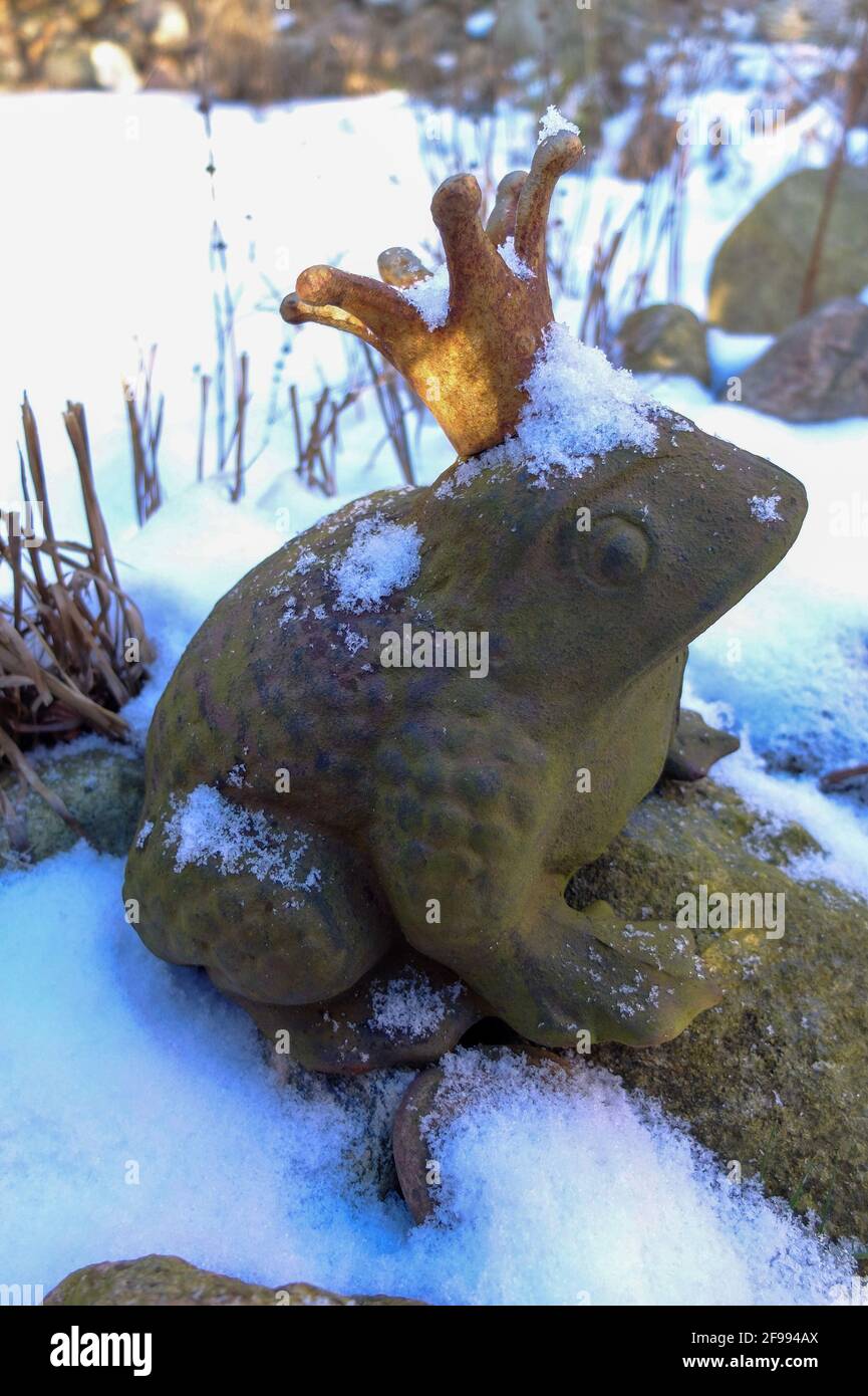 Garden pond winter hires stock photography and images Alamy