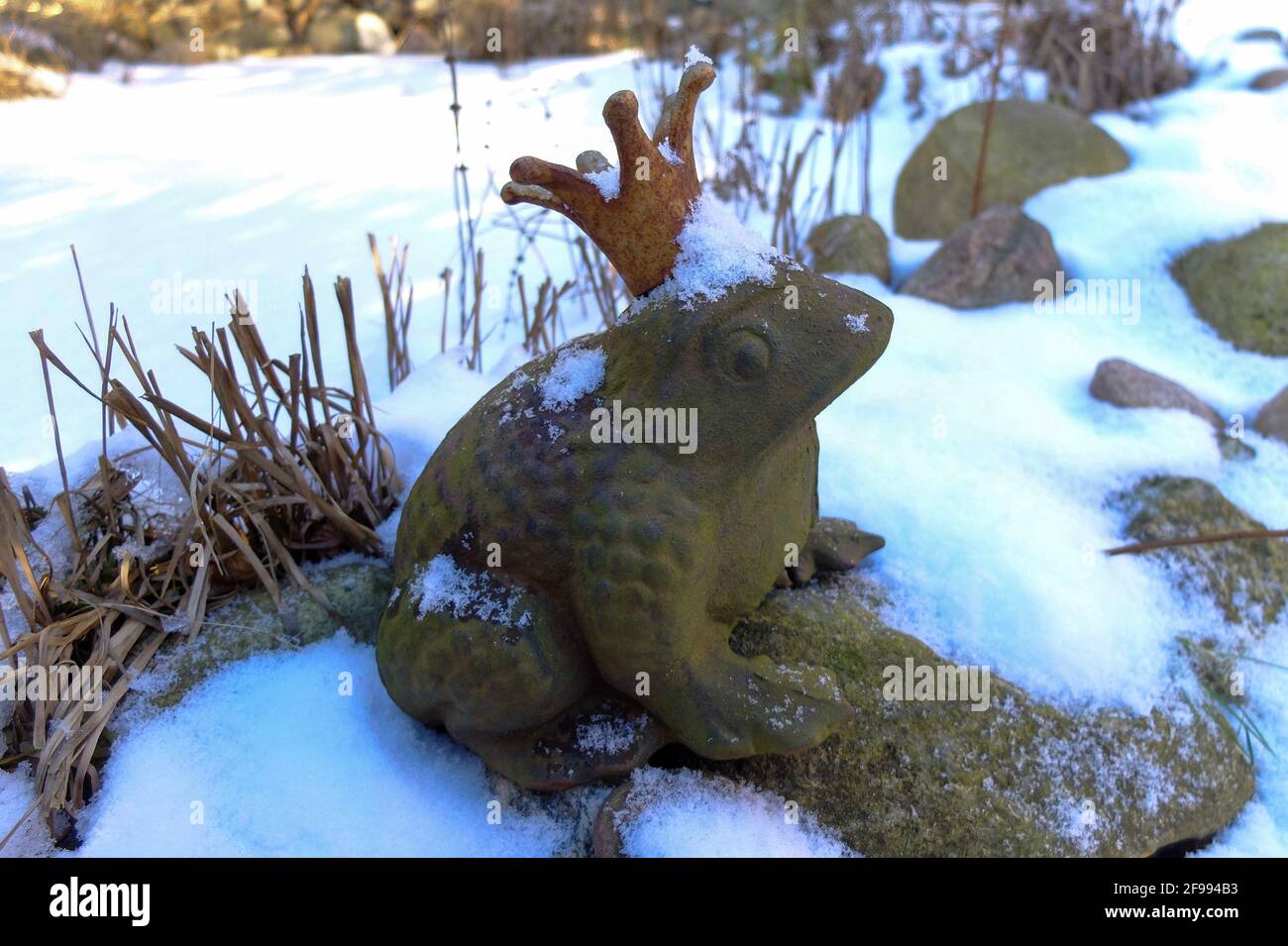Garden pond winter hires stock photography and images Alamy