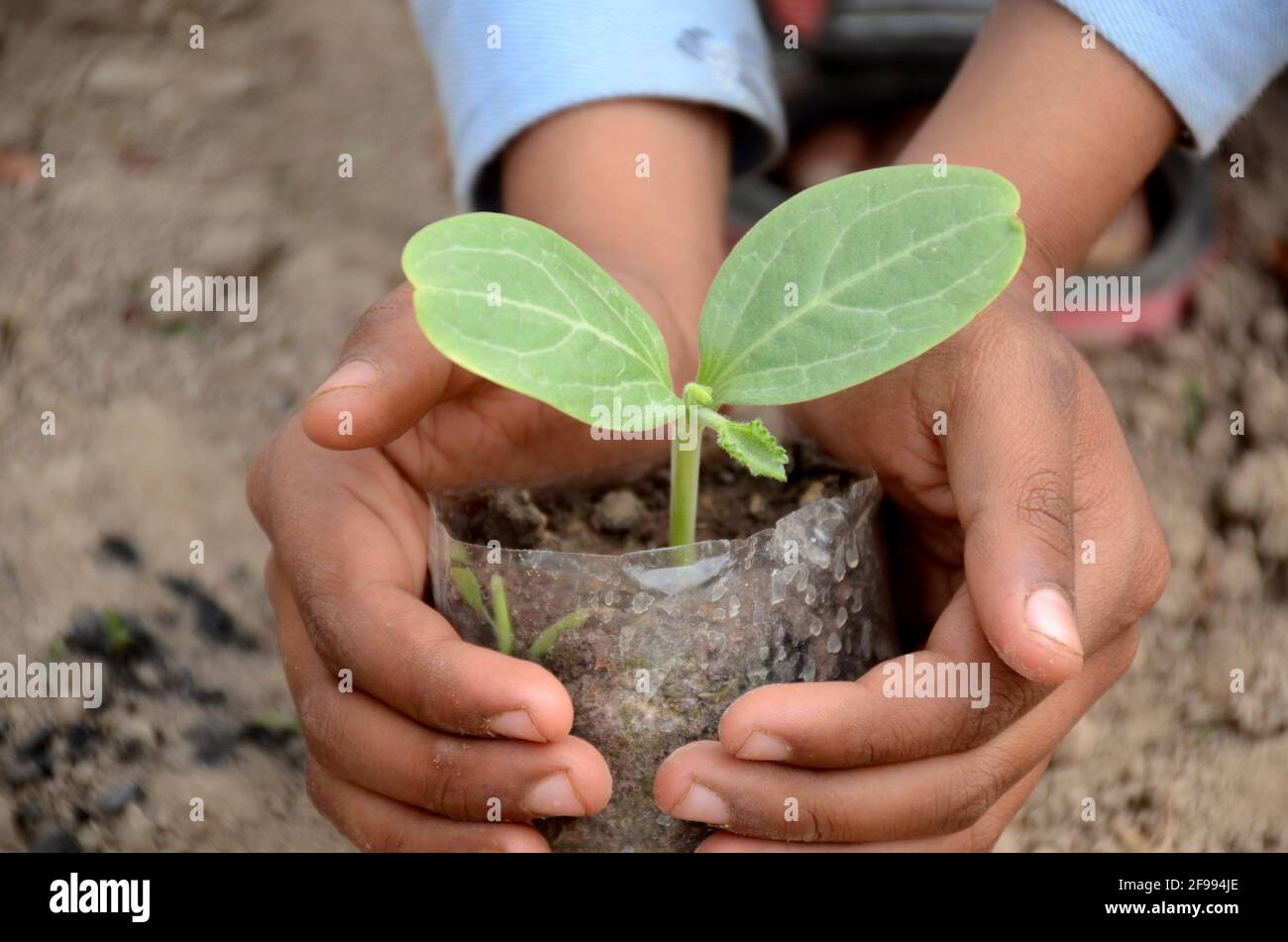 Earth day shot planting ecology hi-res stock photography and images - Alamy