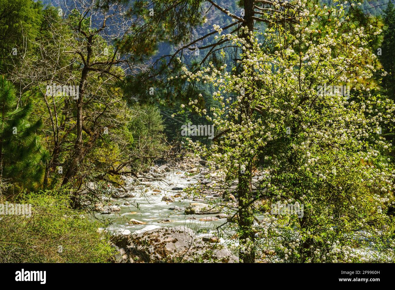 Mesmerizing view at Kasol, Himachal Pradesh, India. Stock Photo