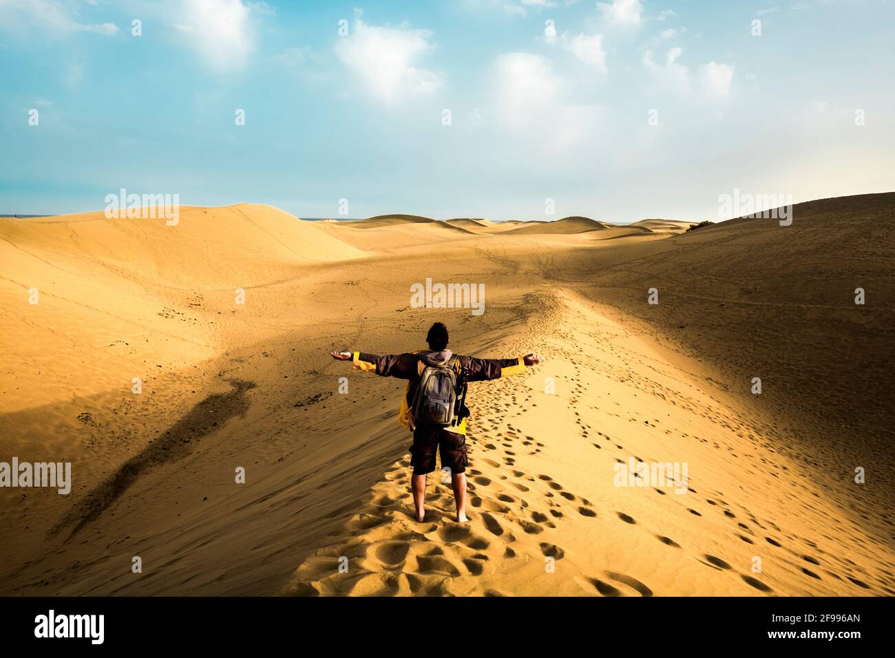 Standing man back view open arms and enjoy with wild beautiful desert in front - lifestyle and adventure trekking backpack travel vacation people concept - alternative summer holiday trip for people Stock Photo