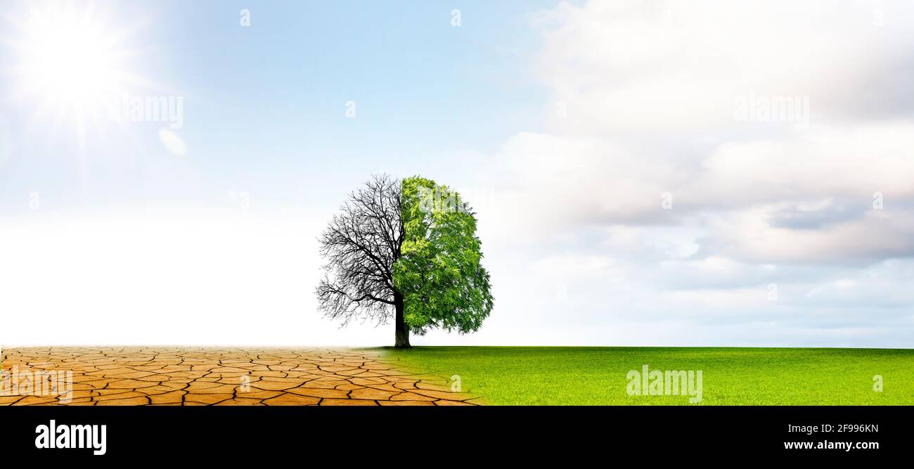 Climate change from drought to green growth Stock Photo